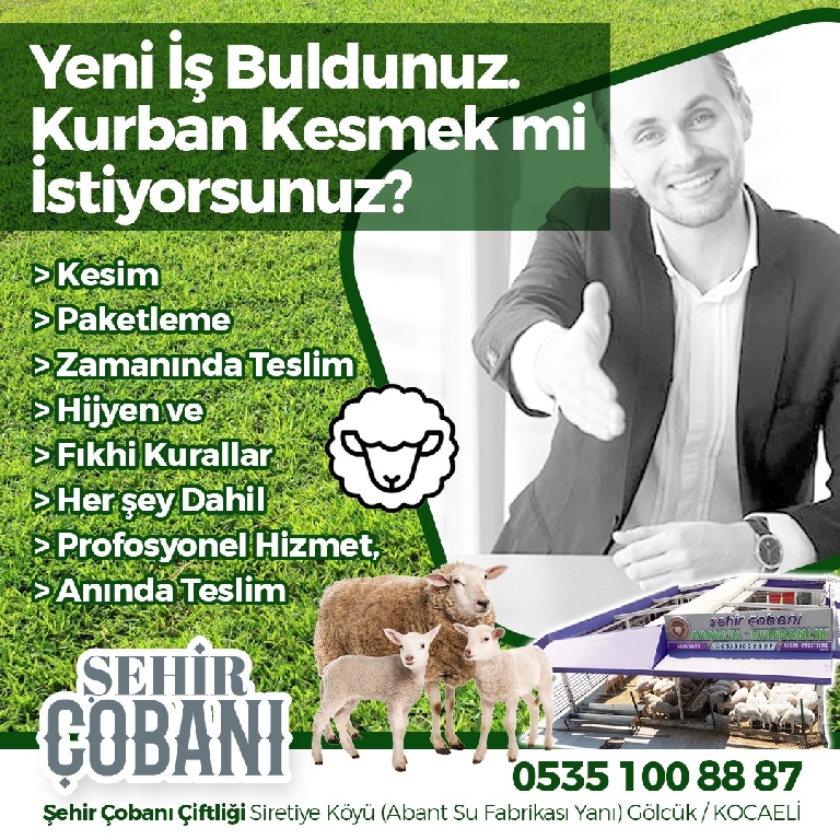 Şehir Çobanı Sunum